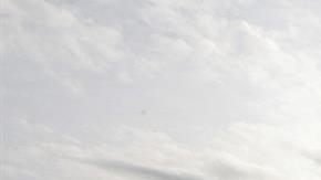 busqueda mexico chapo