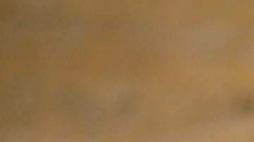 El león Cecil era considerado un tesoro nacional en Zimbabue.