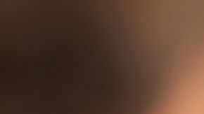 donald-trump_995x560