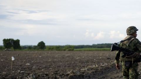 farc-10_655x438