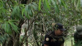Hallan restos en fosa clandestina.