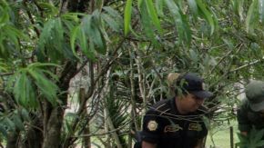 Hallan restos en fosa clandestina.