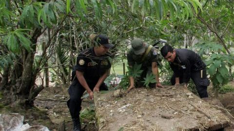 Hallan restos en fosa clandestina.
