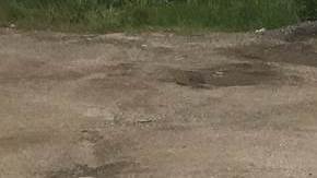 Centroamericanos detenidos a bordo de un camión.