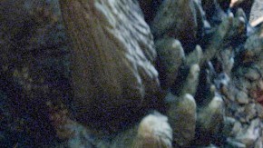 Grame of Thrones es demasiado popular, no cabe duda de eso.