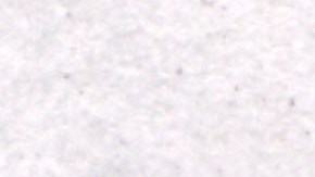 Taliban Chief Mullah Omar