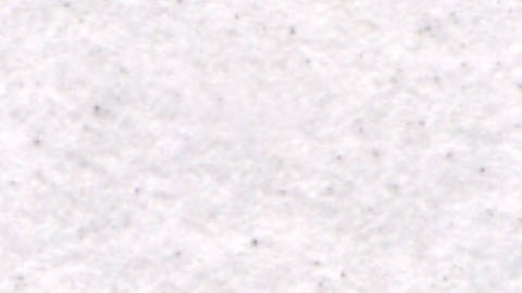 Taliban Chief Mullah Omar