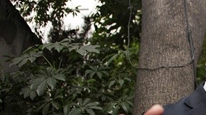 El Hijo del Santo no quiere que su sobrino utilice el nombre artístico de su famoso padre, según dice el joven.