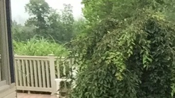 Jorge Viera celebrando el 4 de Julio con familia y amigos en Ohio.