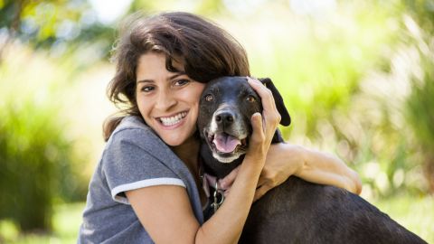 amor mascota
