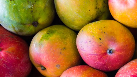 shutterstock_143937550