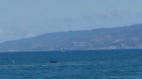 Entre los  programas de post adopción de COAC figuran los grupos de apoyo para madres y padres adoptivos y los grupos de apoyo para los niños, niñas y adolescentes que fueron adoptados. /Archivo