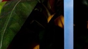 Platanito y su amiga Karla Luna, la exLavandera, tienen un show juntos.