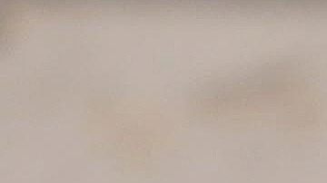 Javier Duarte de Ochoa, gobernador de Veracruz.