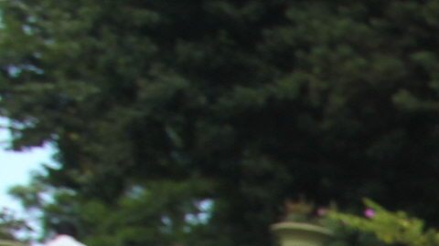 Periodistas han reclamado justicia con la muerte del reportero Rubén Espinosa.