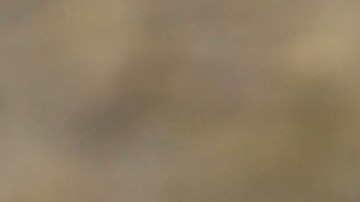 Una mala recolección de pruebas lleva a no poder probar un delito.