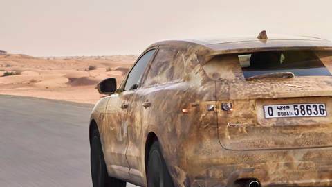 Fpace