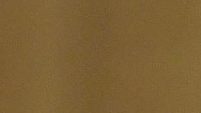 El papa Francisco en El Vaticano. /EFE