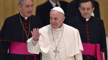 El papa Francisco en El Vaticano. /EFE