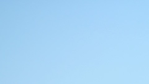 Gyasi Zardes celebra con Sebastian Lletget (arriba) el primero de la goleada. /Michael Baker