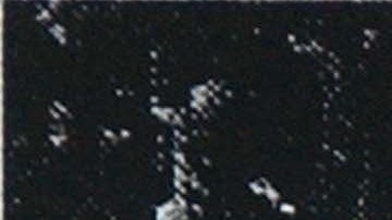 Enaam Arnaout Indicted In Chicago