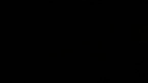 Jerome Bettis, excorredor de los Steelers, recibió las mayores ovaciones en una noche para recordar en Canton, Ohio.