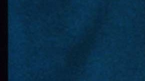 Lady Diana Honored In New York