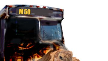 El M50 es el campeón entre todos los  autobuses más lentos que tiene la Autoridad Metropolitana de Transporte (MTA), según reveló un informe.