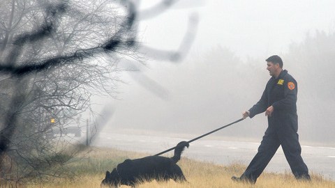 Un agente policial del condado de Suffok rastrea una zona boscosa de Long Island -con la ayuda de un perro especialmente adiestrado- en busca de restos pertenecientes a una prostituta de Nueva Jersey desaparecida en esa zona.