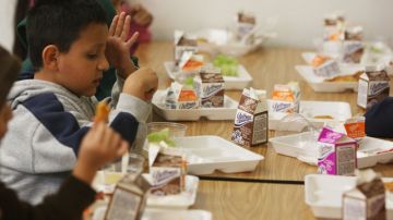 Investigadores encontraron moscas, cucarachas y ratones en muchos comedores escolares de NYC.