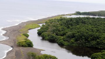 El  río San Juan  marca la línea fronteriza entre Nicaragüa y Costa Rica.