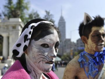 Activistas del grupo defensor de los animales AnimaNaturalis protestan semidesnudos y maquillados como mascotas en Ciudad de México.