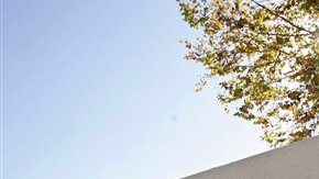 Google es uno de los miembros de Netcoalition.com .