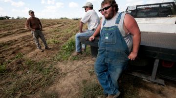En la foto de archivo de septiembre de 2011, Casey Smith, un cultivador de batata de Alabama, observa un pedazo de terreno de su finca que necesita ser sembrado.