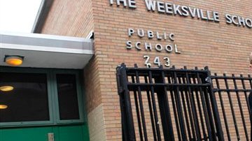 El Consejal de Educación de Nueva York,  Dennis Walcott, ha visitado las escuelas en las cuales se han reportado irregularidades con algún maestro.