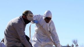 Los restos fueron hallados en 14 fosas en los municipios de Durango, Lerdo, Santiago Papasquiaro, Cuencamé y San Juan del Río.