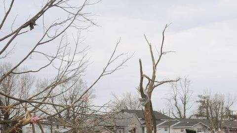 Socorristas ayudan a limpiar los escombros dejados por  el paso del tornado en el vecindario de Harrisburg, en Ilinois.