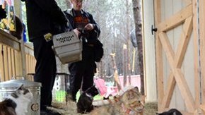 No solo en Nueva York sino a través de toda la nación las autoridades han tenido que intervenir con casos de hacinamiento de animales.