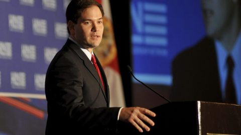 Arroyo le lanzó un reto al senador estadounidense de origen cubano Marco Rubio para que ayude a Daniela.