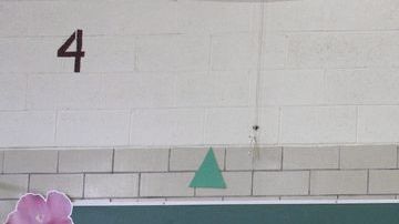 Primarias del Supermartes,