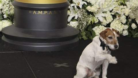 "Uggie" va como invitado del diario “The Washington Times”.