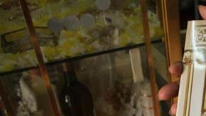 La visita del Sumo Pontífice del 23 al 26 de marzo  a México se espera que atraiga a más de un millón de visitantes.