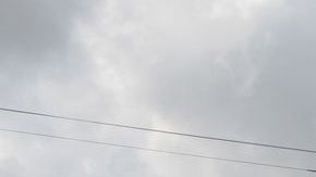 La pulga Elefante Blanco en el este de Houston fue consumida por incendio