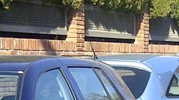 Esta es la imagen de Joan Piqué que muestra Shakira en su cuenta de Twitter.