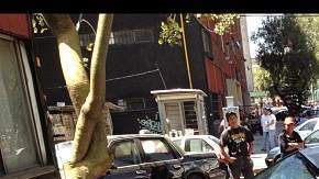 Se reportaron algunos daños menores.