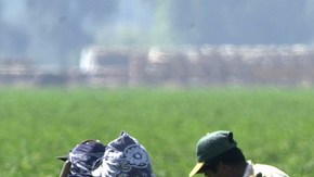 Los trabajadores del campo se verán  beneficiados, junto a pescadores, niñeras y pastores, de un vacío legal en la ley migratoria SB20, en vigor en Carolina del Sur.