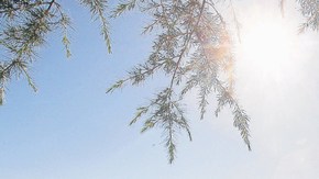 El sol es un proveedor natural de la vitamina D.