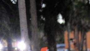 Vince Taylor participa con otros ciudadanos en una protesta por el asesinato del joven de 17 años Trayvon Martin.