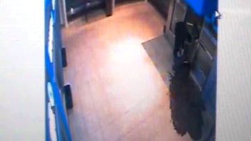 Foto tomada del video en el que se observa a un individuo derramando heces fecales y orina frente al banco.
