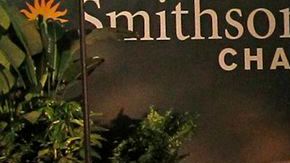 Una muestra en el Museo Smithsonian de Historia Natural de Washington D.C.